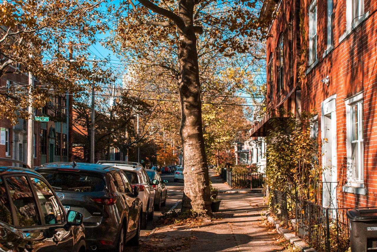 Gorgeous 1Br Wooster Sq. Apt. - Wshr/Dryr, Parking New Haven Εξωτερικό φωτογραφία